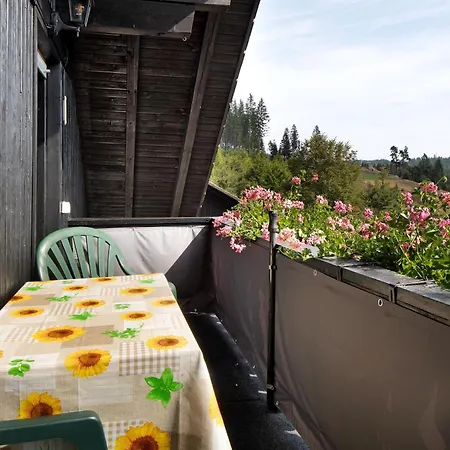 Apartmenthaus Fister * Schluchsee